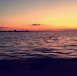 Meet your Posher, Ali